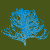 greenshift tree