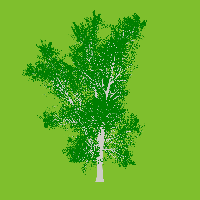 greenshift tree