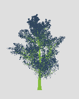 greenshift tree