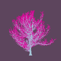 greenshift tree