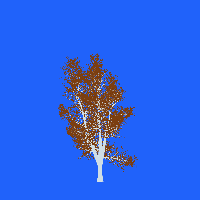 greenshift tree