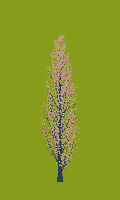 greenshift tree