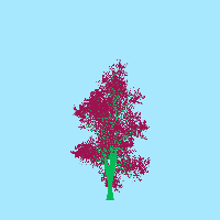 greenshift tree