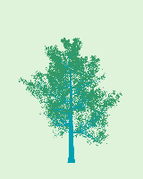 greenshift tree