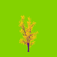 greenshift tree