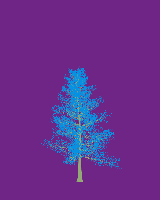 greenshift tree