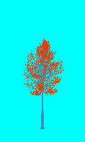 greenshift tree