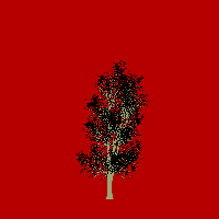 greenshift tree
