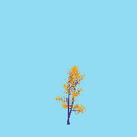 greenshift tree
