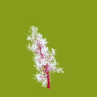 greenshift tree