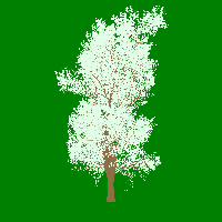 greenshift tree