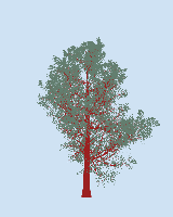 greenshift tree