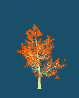 greenshift tree