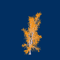 greenshift tree