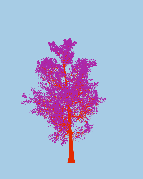greenshift tree