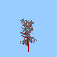 greenshift tree