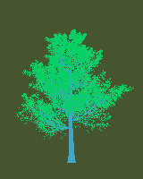 greenshift tree