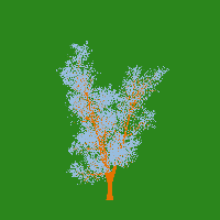 greenshift tree