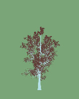 greenshift tree