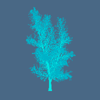 greenshift tree