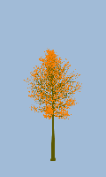 greenshift tree