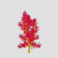 greenshift tree