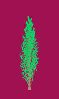 greenshift tree