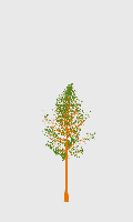 greenshift tree