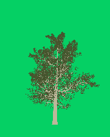 greenshift tree