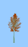 greenshift tree