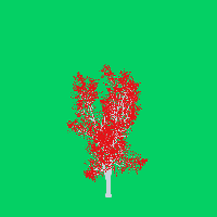 greenshift tree