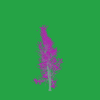 greenshift tree