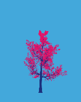 greenshift tree