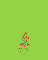 greenshift tree