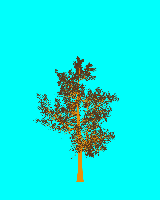 greenshift tree