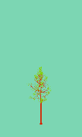 greenshift tree
