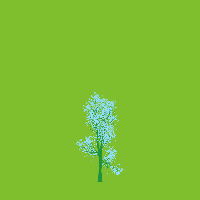 greenshift tree