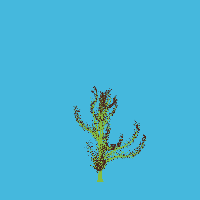 greenshift tree