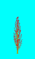 greenshift tree