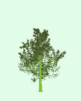 greenshift tree