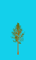 greenshift tree