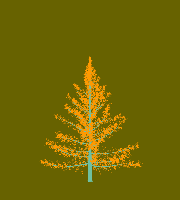 greenshift tree