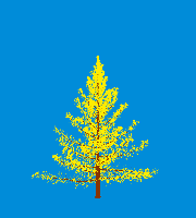 greenshift tree