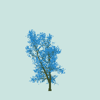 greenshift tree