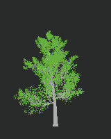 greenshift tree