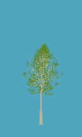 greenshift tree