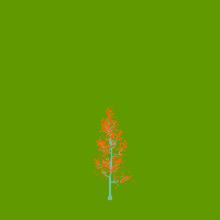 greenshift tree