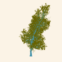 greenshift tree