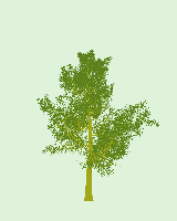 greenshift tree