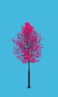 greenshift tree